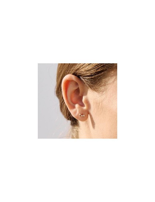 Trepador Estrellas O. A. y Bril. 0. 11 Ct.