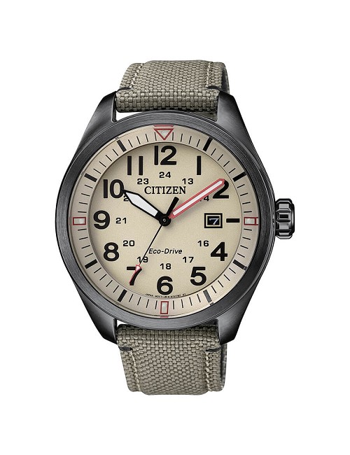 Citizen Esf&Cor Camel