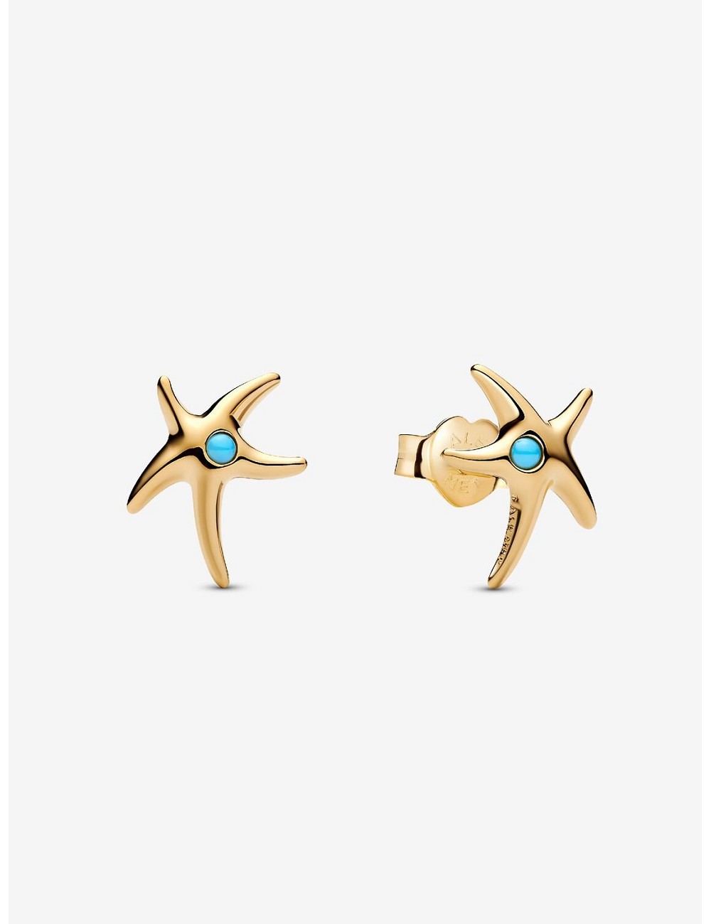 Pendiente de Botón Estrella de Mar