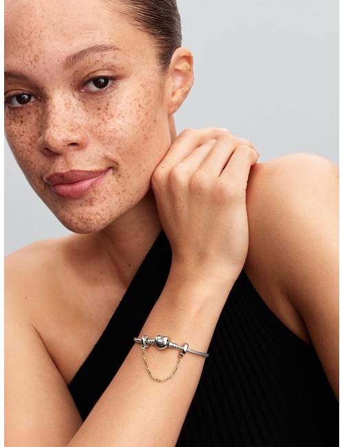 Cadena de Seguridad Alargada