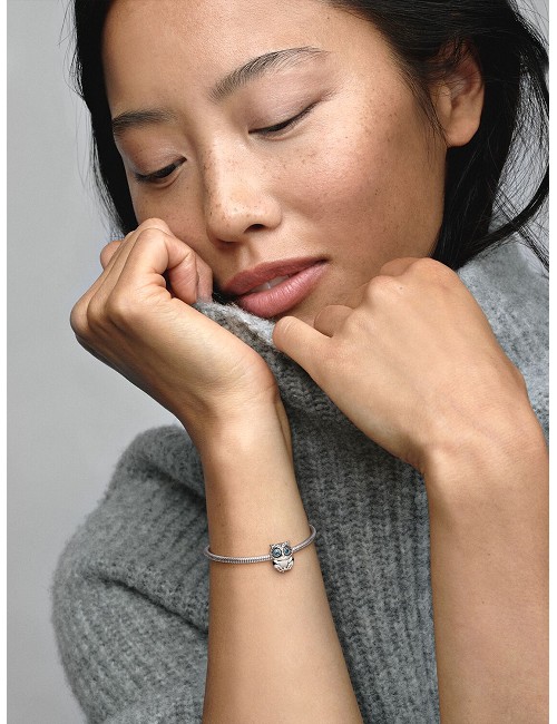 Charmm Búho Ojos Azules