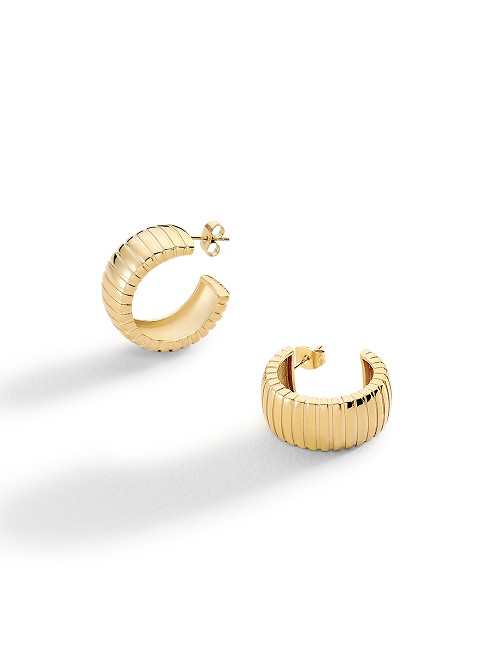 Criollas Ear5Be Dorada